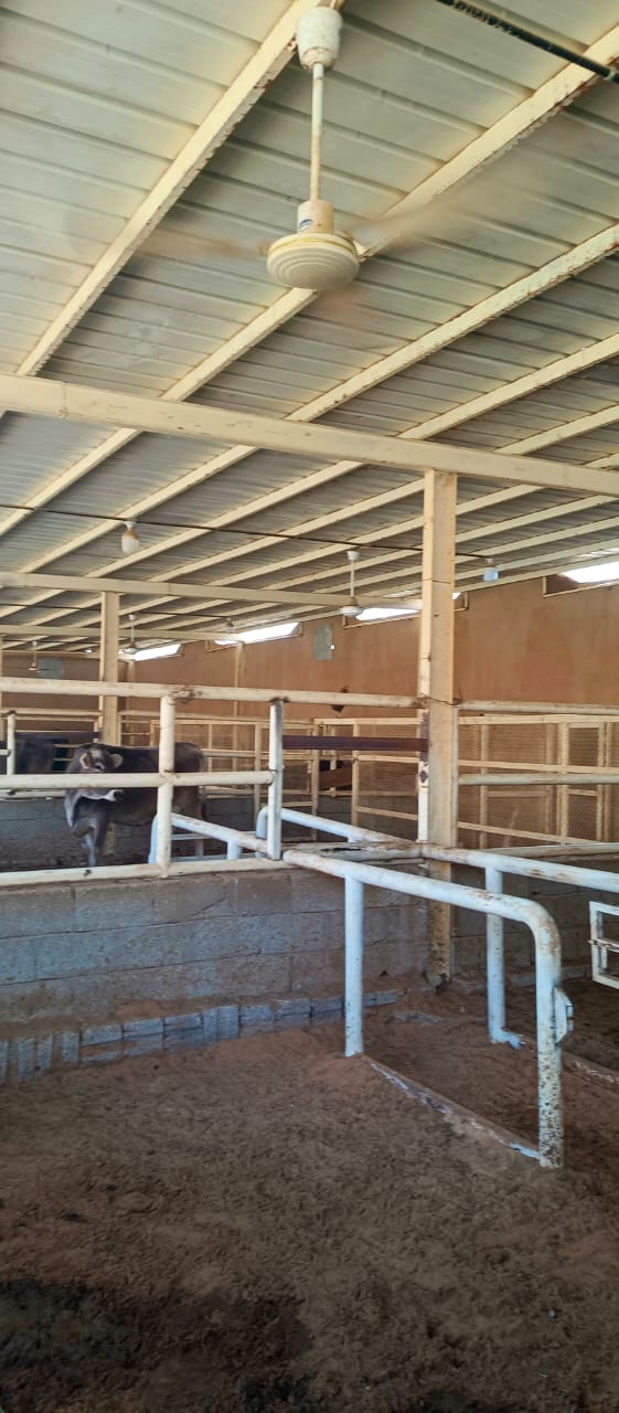 ‏‏IMG 20251008 WA0044   نسخة