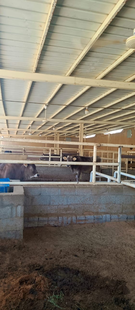 صيانة المنشآت المعدنية